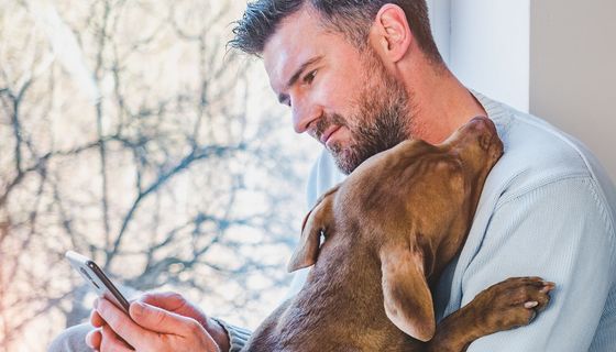 Mann mit Hund im Arm blickt auf sein Smartphone.