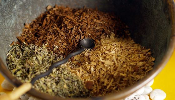 Verschiedene, getrocknete Rindenstückchen nebeneinander